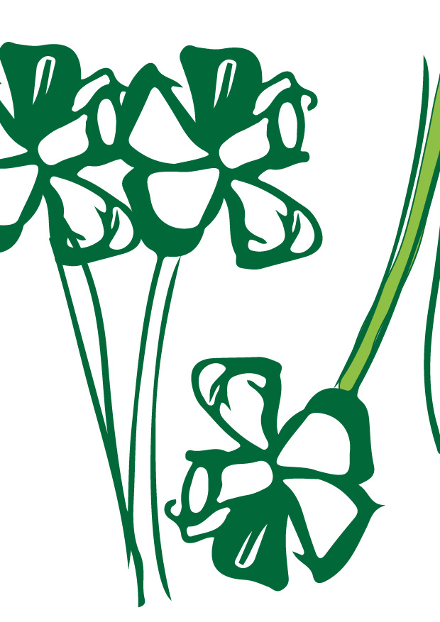 Frühling – wo steht mir der Kopf?